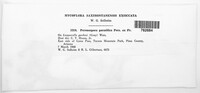 Image Associated With the Occurence